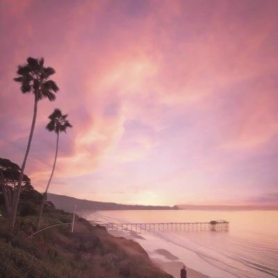 博鱼(boyu)·体育手机app下载