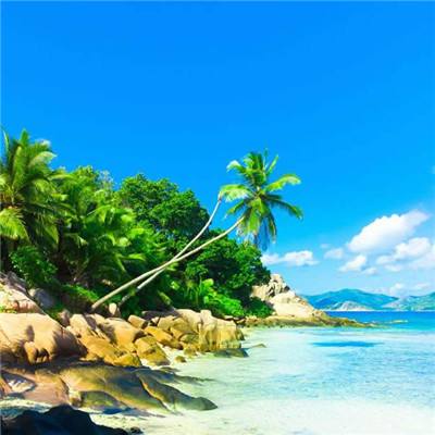 星空体育2024下载