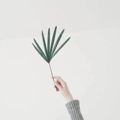 博鱼(boyu)·体育手机app下载截图